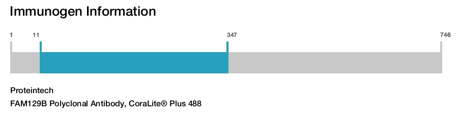 FAM129B Polyclonal Antibody, CoraLite&reg; Plus 488