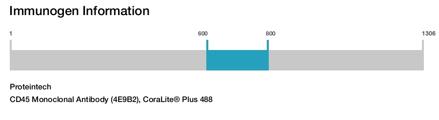 CD45 Monoclonal Antibody (4E9B2), CoraLite&reg; Plus 488
