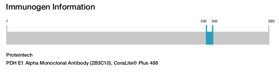 PDH E1 Alpha Monoclonal Antibody (2B3C10), CoraLite&reg; Plus 488