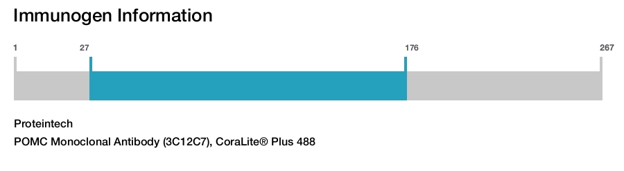 POMC Monoclonal Antibody (3C12C7), CoraLite&reg; Plus 488