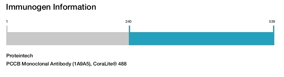 PCCB Monoclonal Antibody (1A9A5), CoraLite&reg; 488