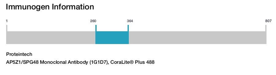 AP5Z1/SPG48 Monoclonal Antibody (1G1D7), CoraLite&reg; Plus 488