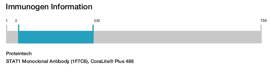 STAT1 Monoclonal Antibody (1F7C6), CoraLite&reg; Plus 488
