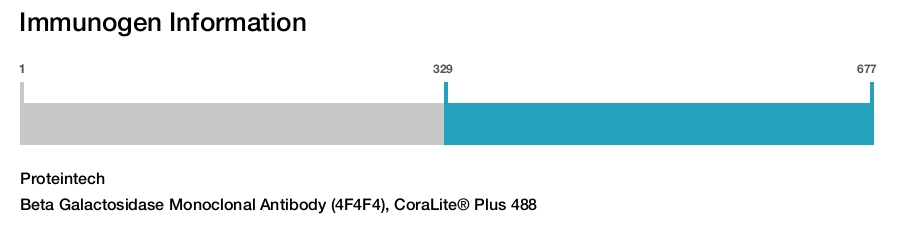 Beta Galactosidase Monoclonal Antibody (4F4F4), CoraLite&reg; Plus 488