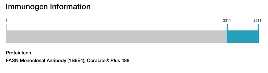 FASN Monoclonal Antibody (1B6E4), CoraLite&reg; Plus 488