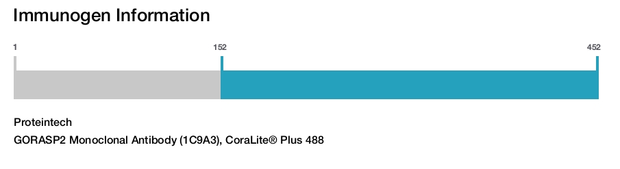 GORASP2 Monoclonal Antibody (1C9A3), CoraLite&reg; Plus 488