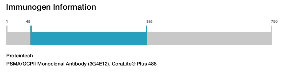 PSMA/GCPII Monoclonal Antibody (3G4E12), CoraLite&reg; Plus 488