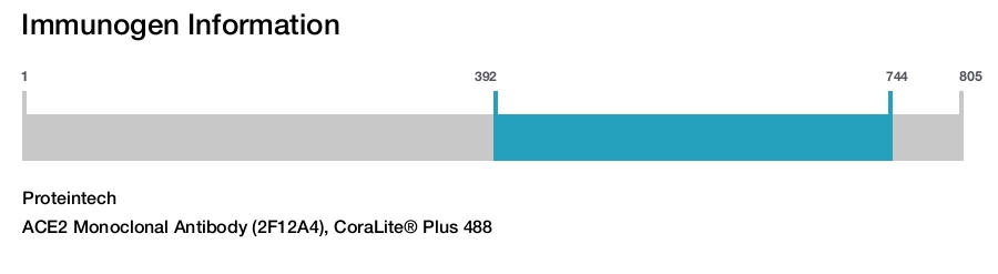 ACE2 Monoclonal Antibody (2F12A4), CoraLite® Plus 488