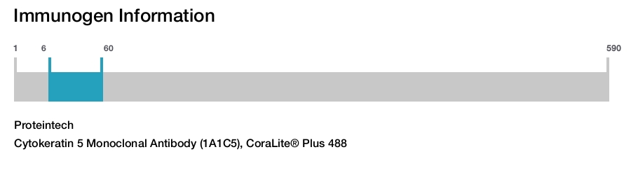 Cytokeratin 5 Monoclonal Antibody (1A1C5), CoraLite&reg; Plus 488