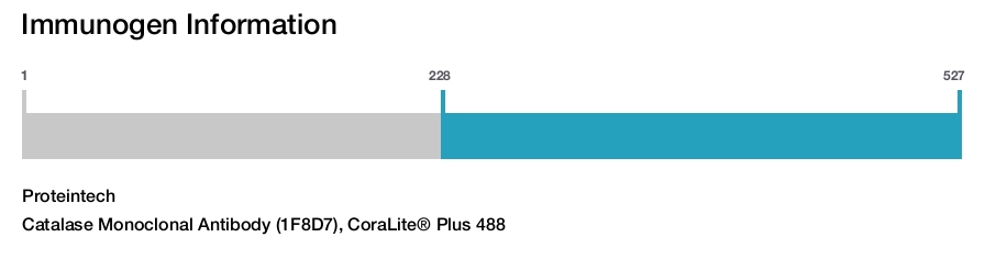 Catalase Monoclonal Antibody (1F8D7), CoraLite&reg; Plus 488