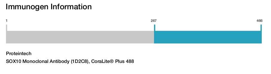 SOX10 Monoclonal Antibody (1D2C8), CoraLite&reg; Plus 488