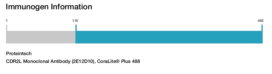 CDR2L Monoclonal Antibody (2E12D10), CoraLite&reg; Plus 488