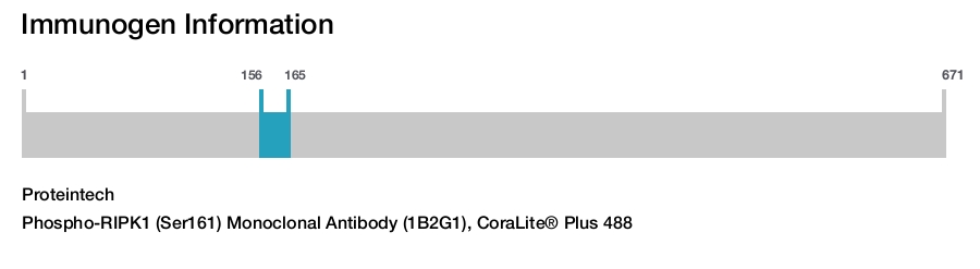 Phospho-RIPK1 (Ser161) Monoclonal Antibody (1B2G1), CoraLite&reg; Plus 488