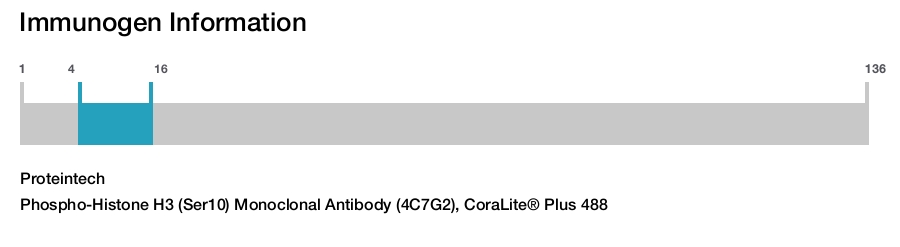 Phospho-Histone H3 (Ser10) Monoclonal Antibody (4C7G2), CoraLite&reg; Plus 488