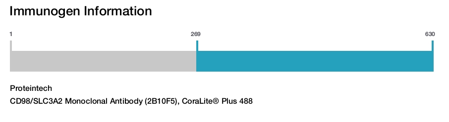 CD98/SLC3A2 Monoclonal Antibody (2B10F5), CoraLite&reg; Plus 488