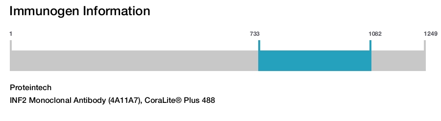 INF2 Monoclonal Antibody (4A11A7), CoraLite&reg; Plus 488