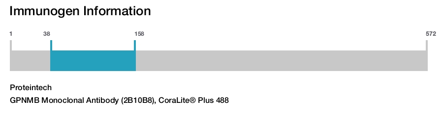GPNMB Monoclonal Antibody (2B10B8), CoraLite&reg; Plus 488