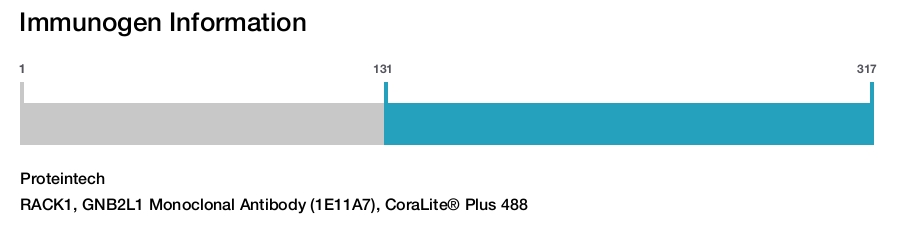 RACK1, GNB2L1 Monoclonal Antibody (1E11A7), CoraLite&reg; Plus 488