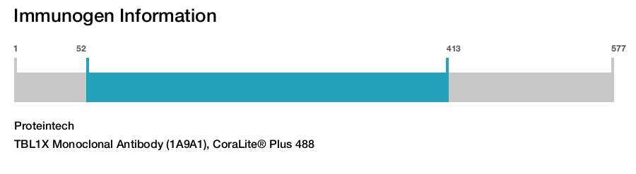 TBL1X Monoclonal Antibody (1A9A1), CoraLite&reg; Plus 488