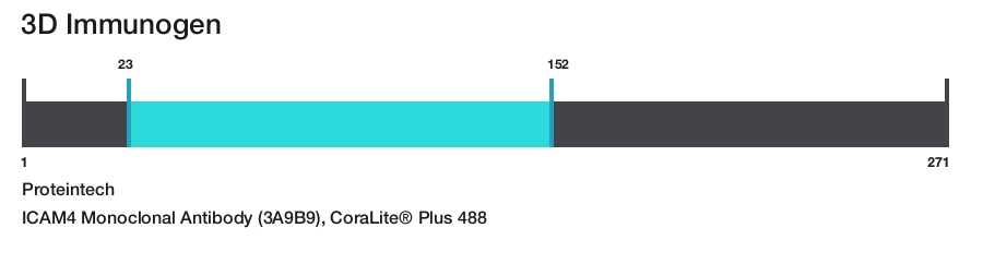 ICAM4 Monoclonal Antibody (3A9B9), CoraLite&reg; Plus 488