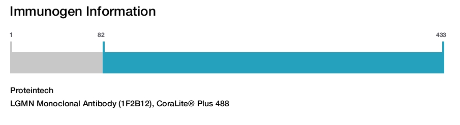LGMN Monoclonal Antibody (1F2B12), CoraLite&reg; Plus 488