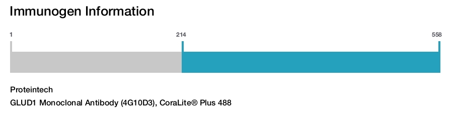 GLUD1 Monoclonal Antibody (4G10D3), CoraLite® Plus 488