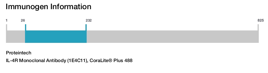 IL-4R Monoclonal Antibody (1E4C11), CoraLite&reg; Plus 488