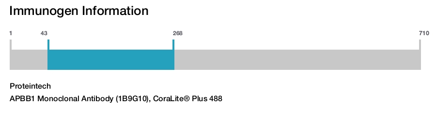 APBB1 Monoclonal Antibody (1B9G10), CoraLite® Plus 488