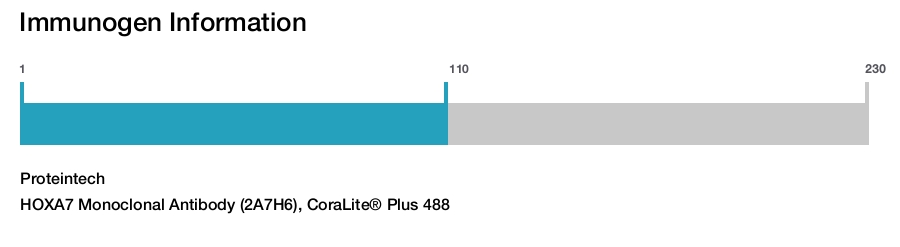HOXA7 Monoclonal Antibody (2A7H6), CoraLite&reg; Plus 488
