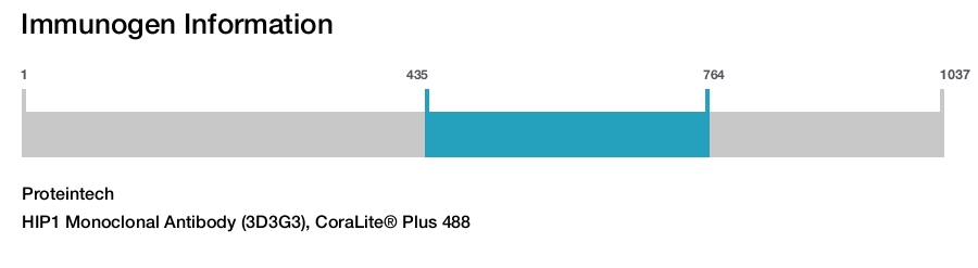 HIP1 Monoclonal Antibody (3D3G3), CoraLite® Plus 488