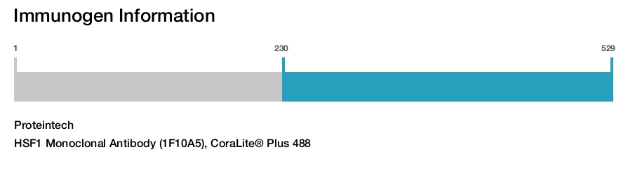 HSF1 Monoclonal Antibody (1F10A5), CoraLite&reg; Plus 488