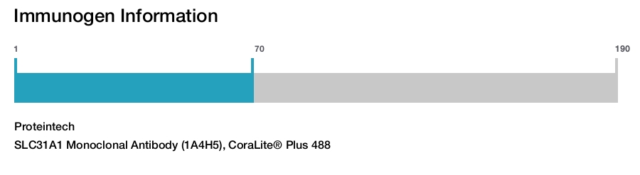 SLC31A1 Monoclonal Antibody (1A4H5), CoraLite&reg; Plus 488