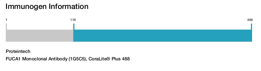 FUCA1 Monoclonal Antibody (1G5C5), CoraLite&reg; Plus 488