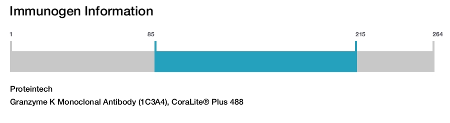 Granzyme K Monoclonal Antibody (1C3A4), CoraLite&reg; Plus 488