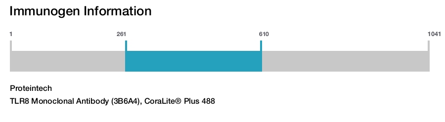 TLR8 Monoclonal Antibody (3B6A4), CoraLite&reg; Plus 488