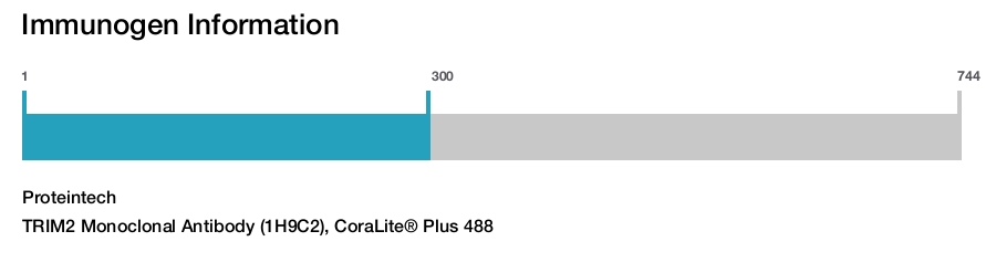 TRIM2 Monoclonal Antibody (1H9C2), CoraLite&reg; Plus 488