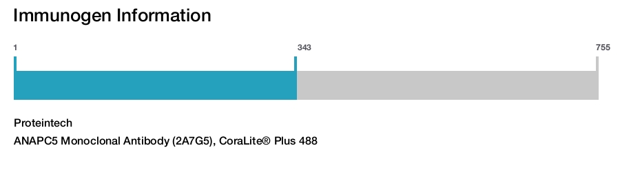 ANAPC5 Monoclonal Antibody (2A7G5), CoraLite&reg; Plus 488