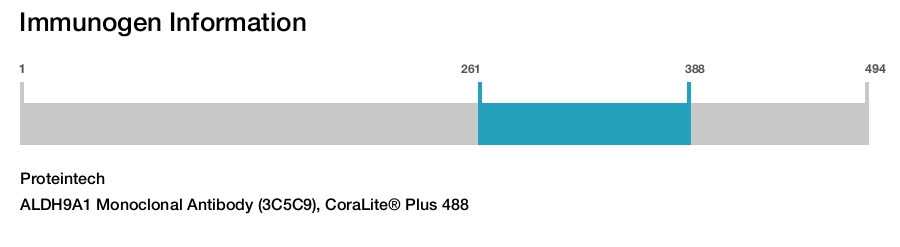 ALDH9A1 Monoclonal Antibody (3C5C9), CoraLite&reg; Plus 488