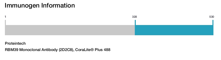 RBM39 Monoclonal Antibody (2D2C8), CoraLite&reg; Plus 488