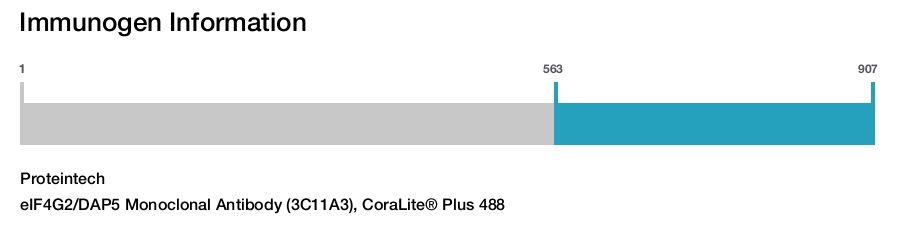 eIF4G2/DAP5 Monoclonal Antibody (3C11A3), CoraLite&reg; Plus 488