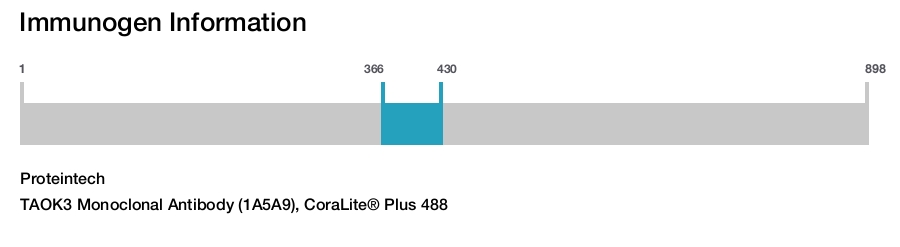 TAOK3 Monoclonal Antibody (1A5A9), CoraLite&reg; Plus 488