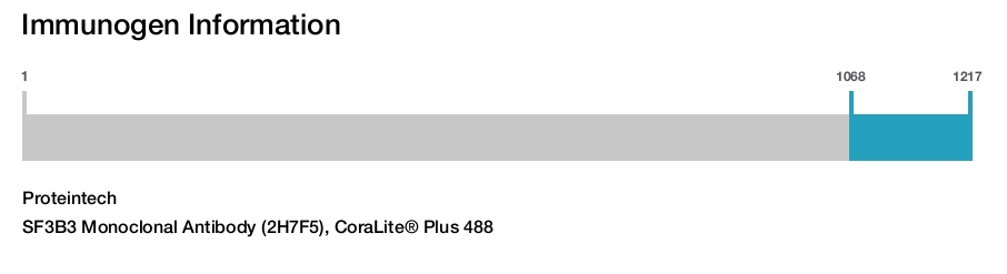 SF3B3 Monoclonal Antibody (2H7F5), CoraLite&reg; Plus 488