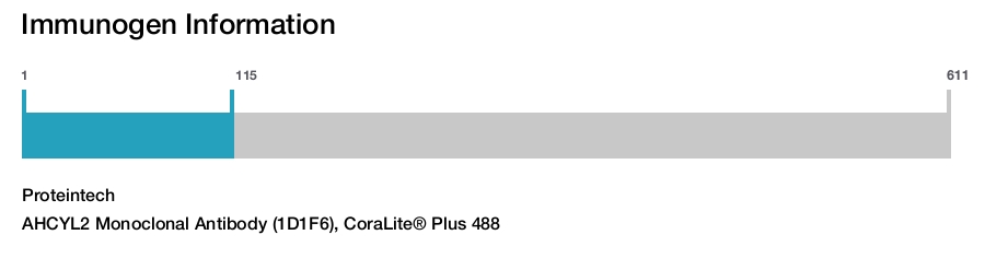 AHCYL2 Monoclonal Antibody (1D1F6), CoraLite&reg; Plus 488