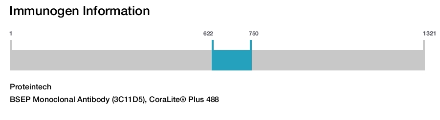 BSEP Monoclonal Antibody (3C11D5), CoraLite® Plus 488
