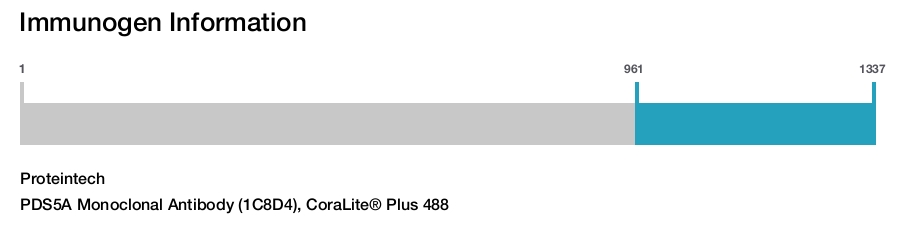 PDS5A Monoclonal Antibody (1C8D4), CoraLite&reg; Plus 488