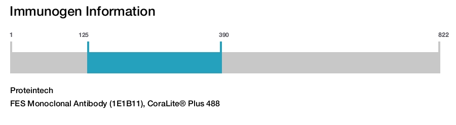 FES Monoclonal Antibody (1E1B11), CoraLite&reg; Plus 488