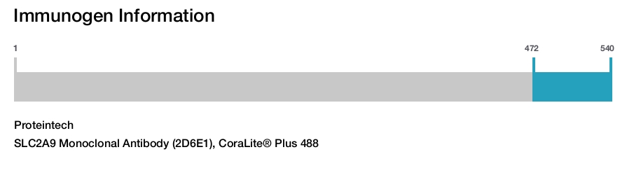SLC2A9 Monoclonal Antibody (2D6E1), CoraLite® Plus 488