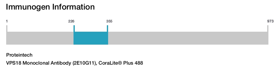 VPS18 Monoclonal Antibody (2E10G11), CoraLite&reg; Plus 488