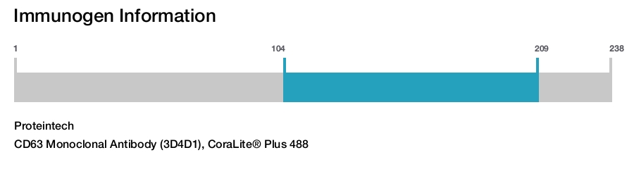 CD63 Monoclonal Antibody (3D4D1), CoraLite&reg; Plus 488