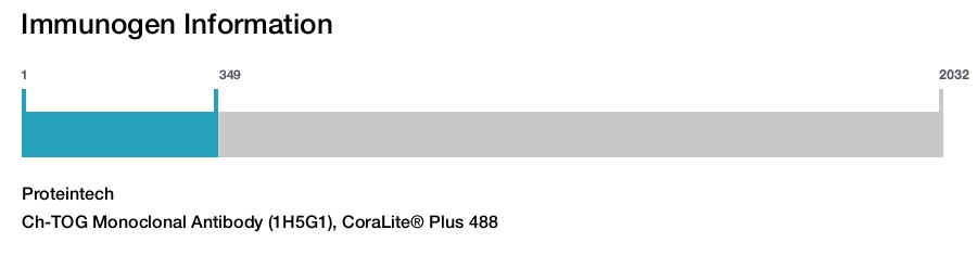 Ch-TOG Monoclonal Antibody (1H5G1), CoraLite&reg; Plus 488